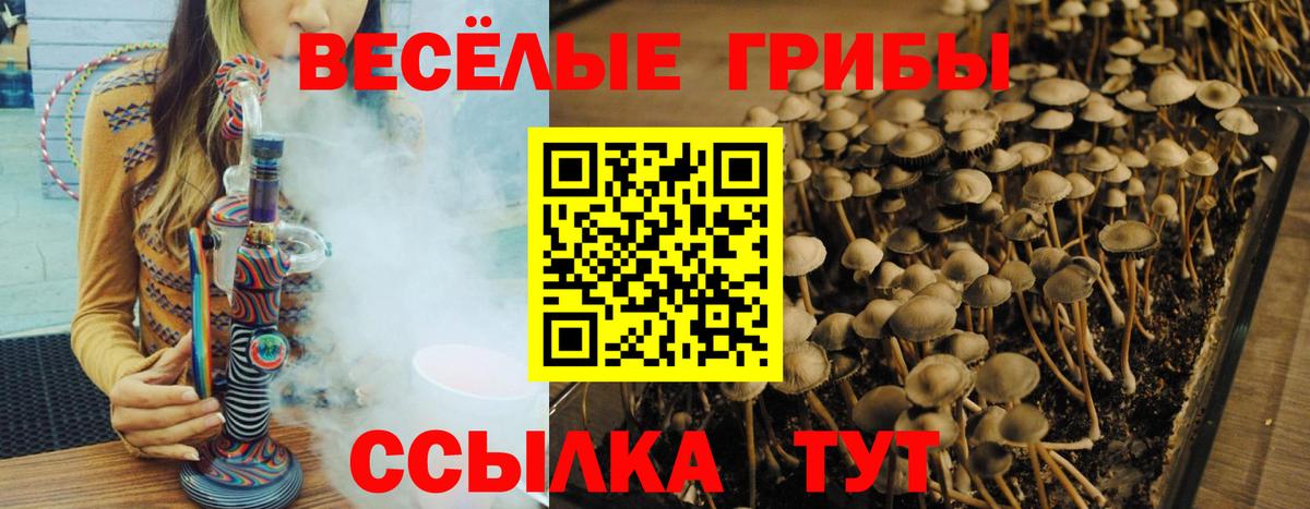 Псилоцибиновые грибы мухоморы  Галлюциногенные грибы Psilocybe  Туапсе  Вход с VPN 